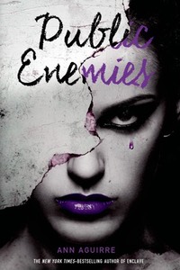 publicenemies
