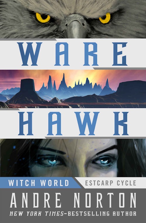 WareHawkUS2017ebook