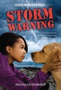 stormwarning